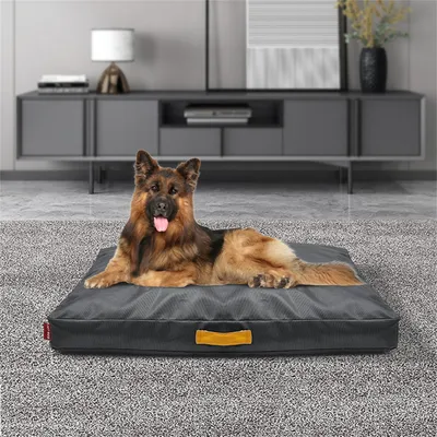 IntiMeg Coussin de canapé pour chien en Oxford