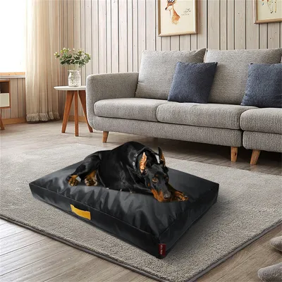IntiMeg Coussin de canapé pour chien en Oxford