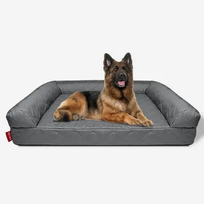 IntiMeg Canapé pour chien en mousse mémoire IntiMeg Canapé pour chien en mousse mémoire