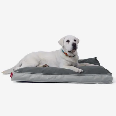 IntiMeg Cama rectangular impermeable para perros