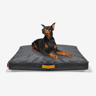 IntiMeg Hundesofa-Kissen aus Oxford-Stoff IntiMeg Hundesofa-Kissen aus Oxford-Stoff