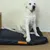 IntiMeg Hundesofa-Kissen aus Oxford-Stoff IntiMeg Hundesofa-Kissen aus Oxford-Stoff