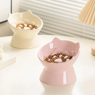 UAMLY Céramique gamelle pour chat à alimentation lente, surélevée