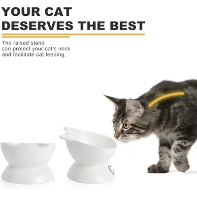 UAMLY Gamelle surélevée en céramique pour Chat