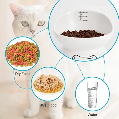 UAMLY Gamelle surélevée en céramique pour Chat