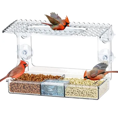 FurryFusion Mangeoire à oiseaux