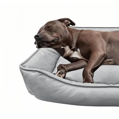 IntiMeg Panier, Canapé, Lit pour Chiens en faux cuir imperméable