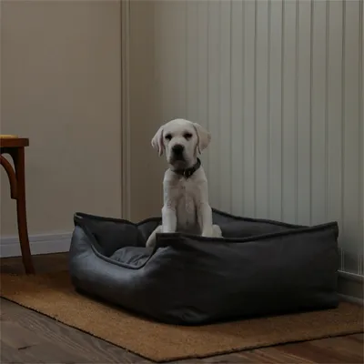 IntiMeg Panier, Canapé, Lit pour Chiens en faux cuir imperméable