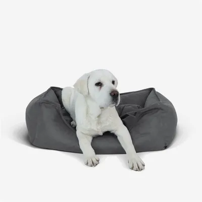 IntiMeg Cesta, sofá y cama para perros de piel sintética impermeable