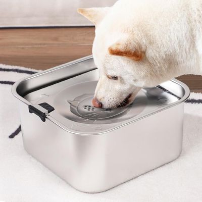 IntiMeg Bebedero para perros de acero inoxidable de 3 litros