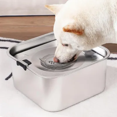 IntiMeg Bebedero para perros de acero inoxidable de 3 litros