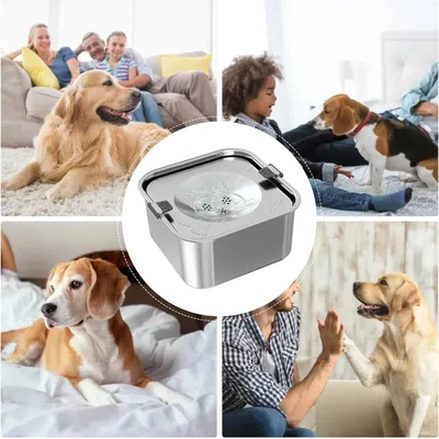 IntiMeg Bebedero para perros de acero inoxidable de 3 litros
