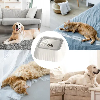 IntiMeg Bebedero para perros y gatos - Resistente a salpicaduras