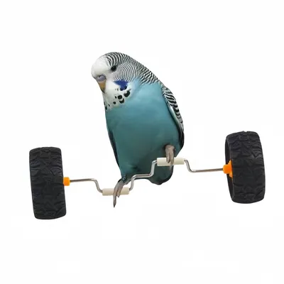 FurryFusion Voiture jouet perroquet FurryFusion Voiture jouet perroquet