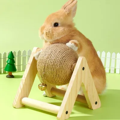 FurryFusion Balle à gratter pour animaux