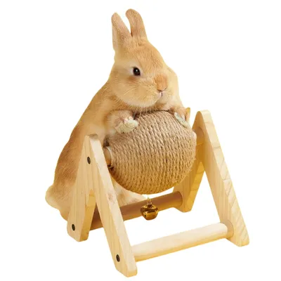 FurryFusion Balle à gratter pour animaux