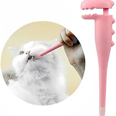 FurryFusion Distributeur de médicaments pour chien et chat