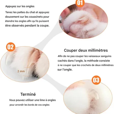 FurryFusion Coupe - griffes pour animaux de compagnie