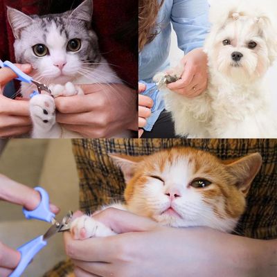 FurryFusion Coupe - griffes pour animaux de compagnie