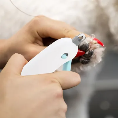 FurryFusion Coupe-ongles pour chats et chiens