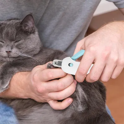 FurryFusion Coupe-ongles pour chats et chiens