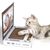 UAMLY Griffoir en carton pour chat, jouet pour ordinateur portable