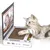 UAMLY Griffoir en carton pour chat, jouet pour ordinateur portable UAMLY Griffoir en carton pour chat, jouet pour ordinateur portable