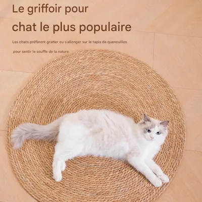 FurryFusion Tapis griffoir rond pour chat