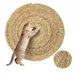FurryFusion Tapis griffoir rond pour chat
