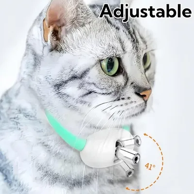 UAMLY Collier laser pour chat
