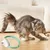 UAMLY Collier laser pour chat