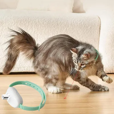 UAMLY Collier laser pour chat