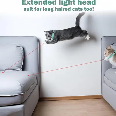 UAMLY Collier laser pour chat