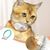 UAMLY Collier laser pour chat