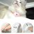 UAMLY Collier laser pour chat