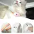UAMLY Collier laser pour chat