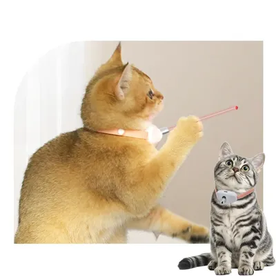 UAMLY Collier laser pour chat