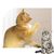 UAMLY Collier laser pour chat