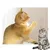UAMLY Collier laser pour chat