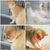 UAMLY Collier laser pour chat