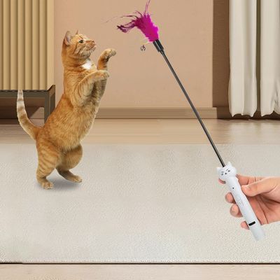 UAMLY Aventurero láser para gatos
