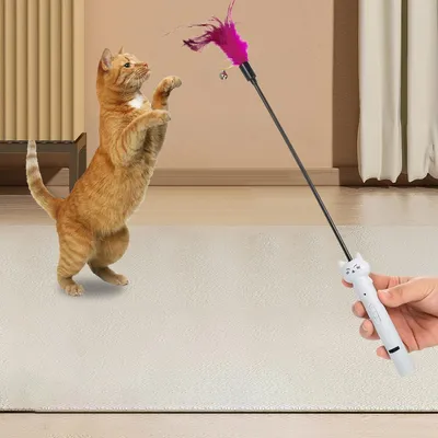 UAMLY Pointeur laser pour chat