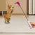 UAMLY Teaser laser pour chat