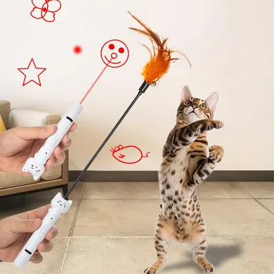 UAMLY Pointeur laser pour chat