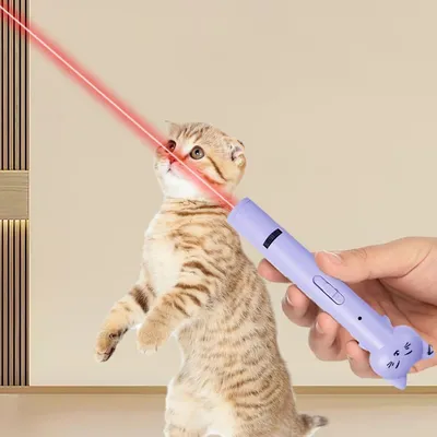 UAMLY Teaser laser pour chat