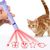 UAMLY Teaser laser pour chat