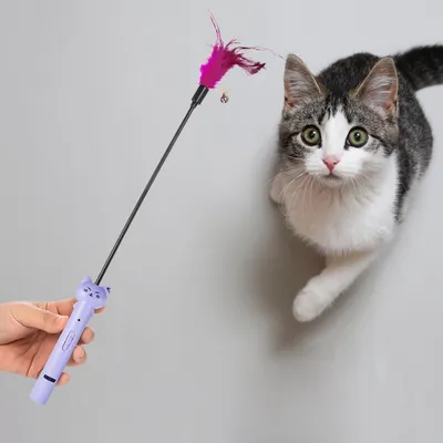 UAMLY Pointeur laser pour chat
