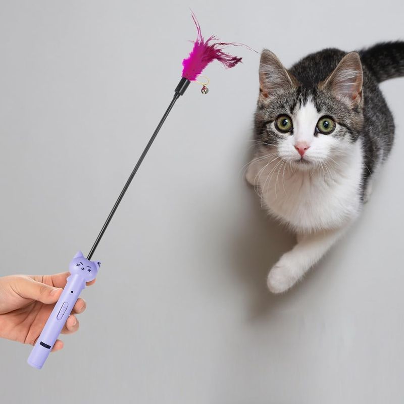 UAMLY Teaser laser pour chat