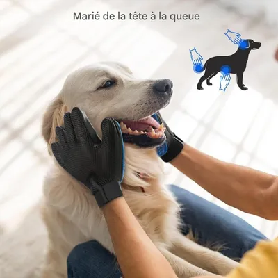 FurryFusion Gant de toilettage pour animaux de compagnie