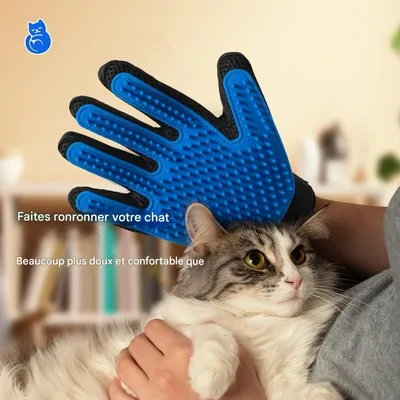 FurryFusion Gant de toilettage pour animaux de compagnie